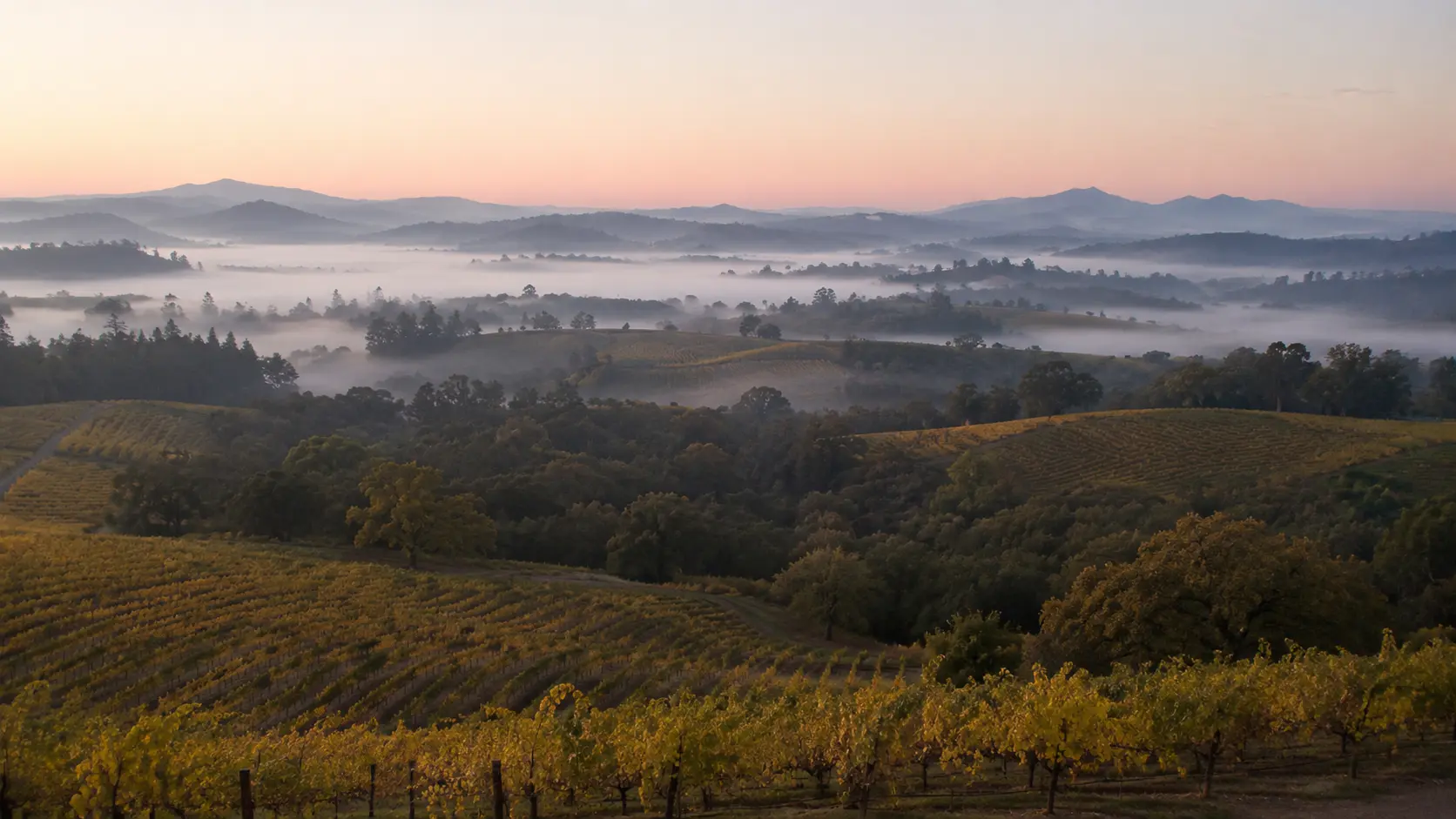 Morning fog settled between layered forested hills at dawn